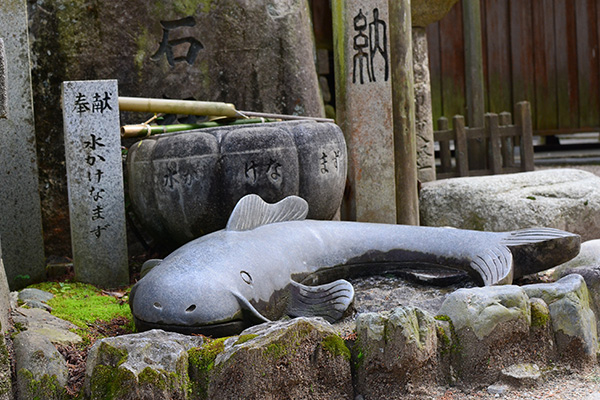 According to ancient Japanese mythology, a giant catfish cal