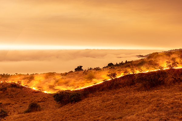 Image: California experiences wildfires regularly